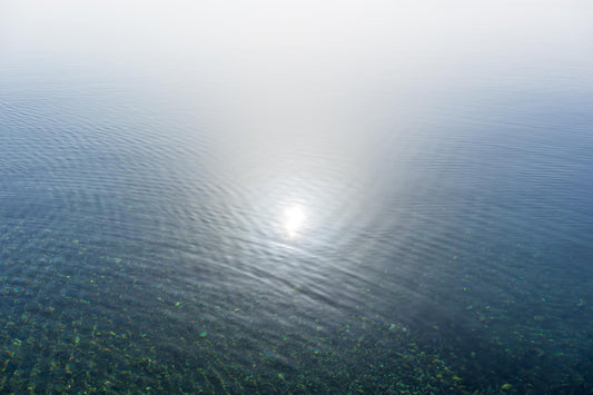 What a Dysregulated Nervous System Feels Like (and how to gently shift it)